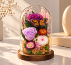 Preserved Rose in Glass Dome with Gift Box
